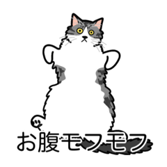 [LINEスタンプ] 猫あるある（ハチワレサバ猫／長毛）