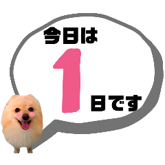 [LINEスタンプ] 麗らか♡春♡ポメ推しスタンプ