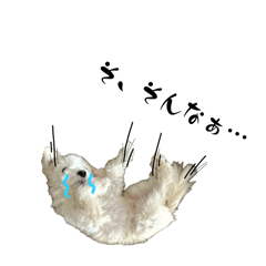 [LINEスタンプ] けぽてぃの日常2 （犬）