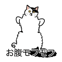 [LINEスタンプ] 猫あるある（ぶち猫（白黒）／長毛）