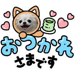 [LINEスタンプ] チワワ4兄妹(ネオ・ピノ・イオ・のい)④