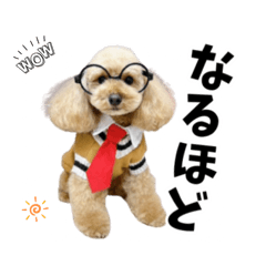 [LINEスタンプ] くぅるるスタンプ0407