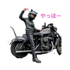 [LINEスタンプ] 猫耳ライダーのごあいさつ