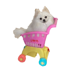 [LINEスタンプ] もふもふぽっめ