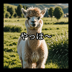 [LINEスタンプ] ちょっとクールなアルパカさん