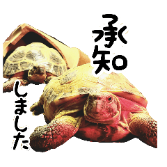 [LINEスタンプ] ビジネスホルス