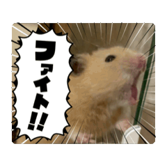 [LINEスタンプ] ハムスターの動くスタンプ2【ペロモグ編】