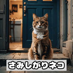 [LINEスタンプ] いろんな表情のネコ_001