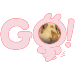 [LINEスタンプ] うさぎなんです。うさぎのフッくん