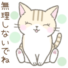 [LINEスタンプ] 毎日使える挨拶☆トラ猫