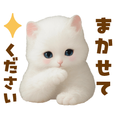 [LINEスタンプ] むっちり白ねこ☆