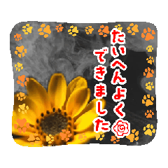 [LINEスタンプ] はるかの花束 デージー