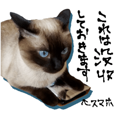 [LINEスタンプ] シャム猫おはぎとお友達