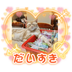 [LINEスタンプ] わが家のニャンTube☆コタローシリーズ