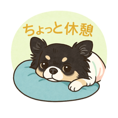 [LINEスタンプ] チワワのこっちゃん♂