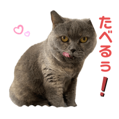 [LINEスタンプ] まりーの呟き2