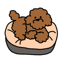 [LINEスタンプ] わんこのすゝめ/ぴの