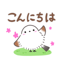 [LINEスタンプ] ずっと使える✴︎まるふわシマエナガ