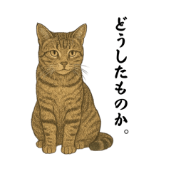 [LINEスタンプ] キジとハチワレ