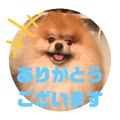 [LINEスタンプ] うずゆずスタンプ