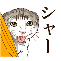 [LINEスタンプ] ツンデレを使い分けるネコのスタンプ