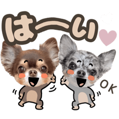 [LINEスタンプ] うにちゃんと、ほたてくん。【3】