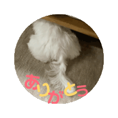 [LINEスタンプ] うごく、まるた。