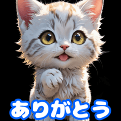 [LINEスタンプ] 毎日使えるかわいい子猫の挨拶スタンプ