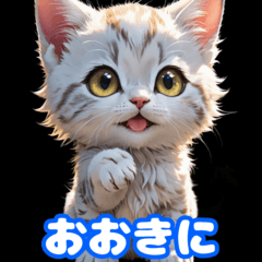 [LINEスタンプ] 毎日使える子猫の挨拶スタンプ関西弁ver.