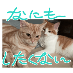 [LINEスタンプ] わが家のニャンTube☆コタロー＆むぎちゃん1