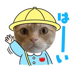 [LINEスタンプ] わが家のニャンTube☆コタローシリーズ2