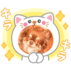 [LINEスタンプ] あんこちゃんあにまるず