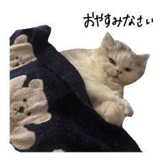 [LINEスタンプ] いわし(=^x^=)