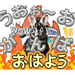 [LINEスタンプ] うさちゃんリアクションスタンプ