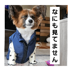 [LINEスタンプ] もみすずの会話の画像（メイン）