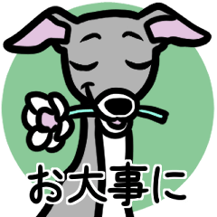 [LINEスタンプ] 【ブルー3】1年中使えるイタグレのスタンプ