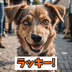 [LINEスタンプ] 笑顔いっぱいLINEスタンプ