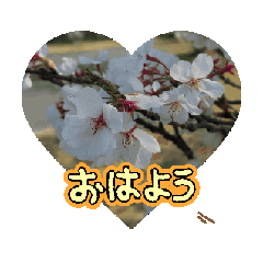 [LINEスタンプ] 春ですね(桜ver.)