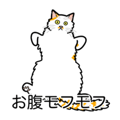[LINEスタンプ] 猫あるある（ぶち猫（白茶）／長毛）