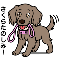 [LINEスタンプ] ワイマラナーの「さくら」