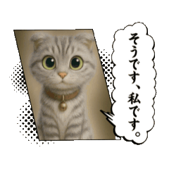 [LINEスタンプ] チャッピー＆そらの画像（メイン）