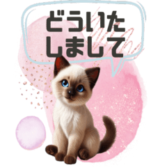 [LINEスタンプ] かわいいシャムねこのスタンプ