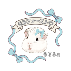 [LINEスタンプ] モルファꕤ︎︎·͜·ご当地モルモット