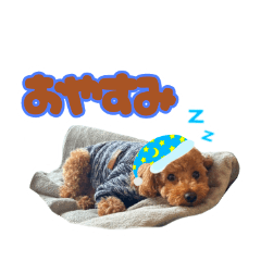 [LINEスタンプ] 今日もあむちゃん①