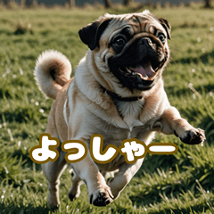 [LINEスタンプ] パグは感情表現豊か