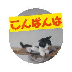 [LINEスタンプ] 20250410a