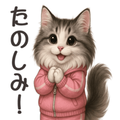 [LINEスタンプ] ノルウェジャンのカジュアル会話