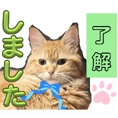 [LINEスタンプ] 丁寧語むぎ様スタンプ