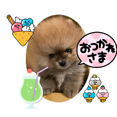 [LINEスタンプ] うずら＆ゆず あいさつ