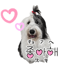 [LINEスタンプ] のあねねめるの日常